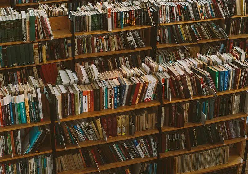 Literary Fiction